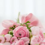 パワーポイントおしゃれな花系無料テンプレート|おすすめ7選