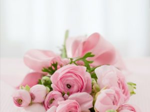 パワーポイントおしゃれな花系無料テンプレート|おすすめ7選