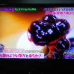 マツコ絶賛｜恵比寿駅でジロンタン吉龍糖の黒糖タピオカミルク